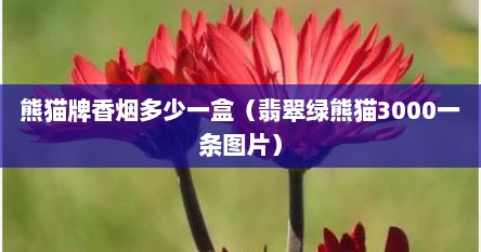 熊猫牌香烟多少一盒（翡翠绿熊猫3000一条图片）