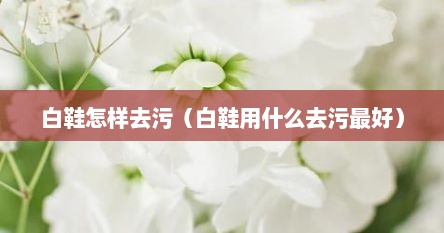 白鞋怎样去污（白鞋用什么去污最好）