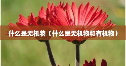 什么是无机物（什么是无机物和有机物）