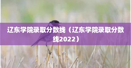 辽东学院录取分数线（辽东学院录取分数线2022）