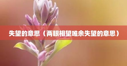 失望的意思（两眼相望唯余失望的意思）