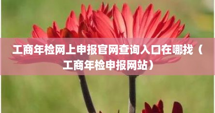 工商年检网上申报官网查询入口在哪找（工商年检申报网站）