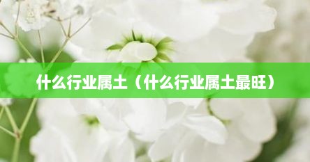 什么行业属土（什么行业属土最旺）