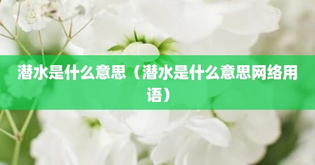潜水是什么意思（潜水是什么意思网络用语）