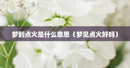 梦到点火是什么意思（梦见点火好吗）