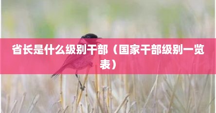省长是什么级别干部（国家干部级别一览表）