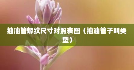抽油管螺纹尺寸对照表图（抽油管子叫类型）