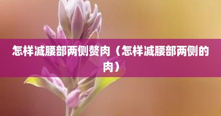 怎样减腰部两侧赘肉（怎样减腰部两侧的肉）