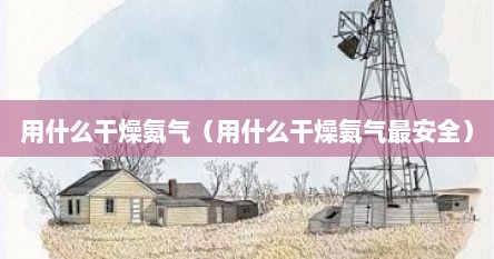 用什么干燥氨气（用什么干燥氨气最安全）