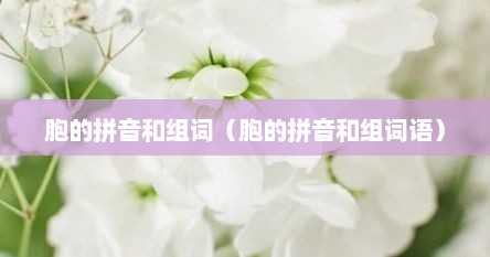 胞的拼音和组词（胞的拼音和组词语）