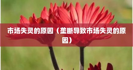 市场失灵的原因（垄断导致市场失灵的原因）