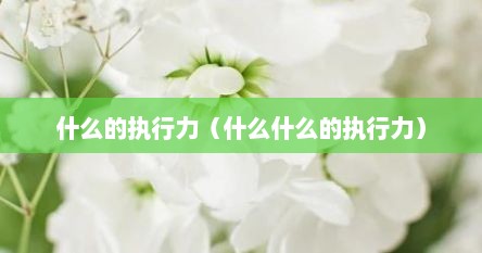 什么的执行力（什么什么的执行力）