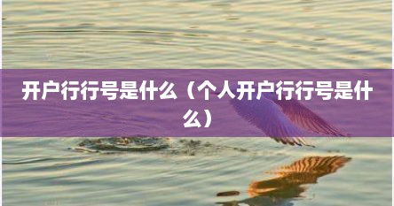 开户行行号是什么（个人开户行行号是什么）