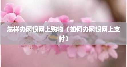 怎样办网银网上购物（如何办网银网上支付）