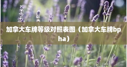 加拿大车牌等级对照表图（加拿大车牌bpha）
