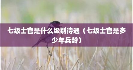 七级士官是什么级别待遇（七级士官是多少年兵龄）
