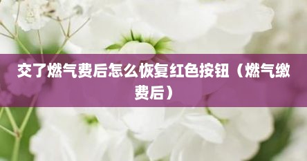 交了燃气费后怎么恢复红色按钮（燃气缴费后）