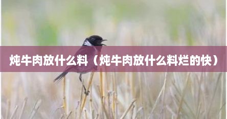 炖牛肉放什么料（炖牛肉放什么料烂的快）