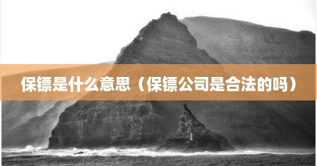 保镖是什么意思（保镖公司是合法的吗）