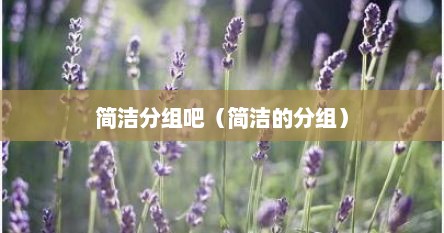 简洁分组吧（简洁的分组）
