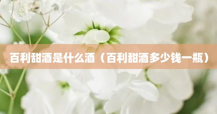 百利甜酒是什么酒（百利甜酒多少钱一瓶）