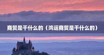 商贸是干什么的（鸿运商贸是干什么的）