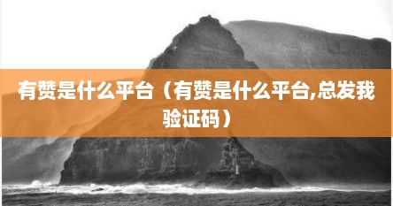 有赞是什么平台（有赞是什么平台,总发我验证码）