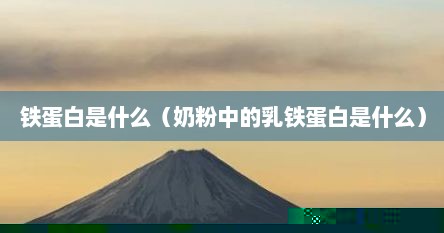 铁蛋白是什么（奶粉中的乳铁蛋白是什么）