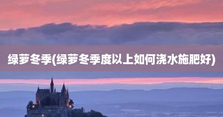 绿萝冬季(绿萝冬季度以上如何浇水施肥好)