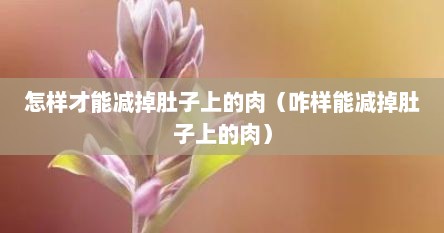 怎样才能减掉肚子上的肉（咋样能减掉肚子上的肉）