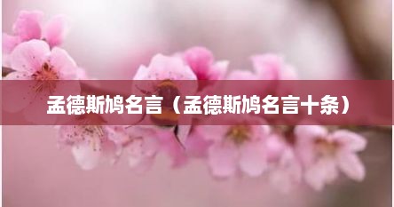孟德斯鸠名言（孟德斯鸠名言十条）