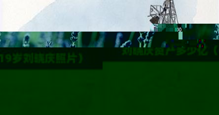 刘晓庆资产多少亿（19岁刘晓庆照片）