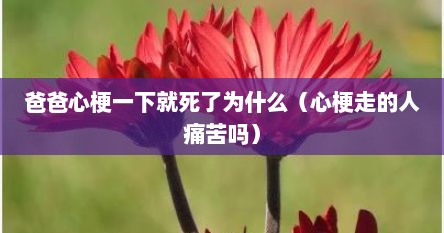 爸爸心梗一下就死了为什么（心梗走的人痛苦吗）