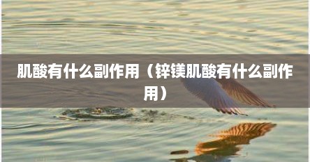 肌酸有什么副作用（锌镁肌酸有什么副作用）