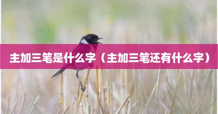 主加三笔是什么字（主加三笔还有什么字）