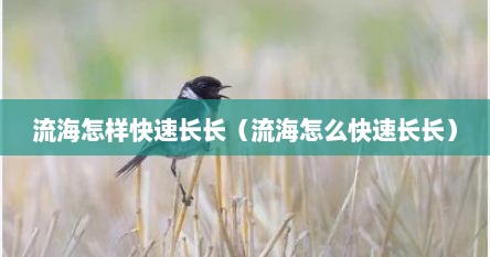 流海怎样快速长长（流海怎么快速长长）