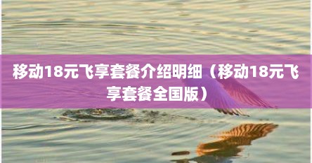 移动18元飞享套餐介绍明细（移动18元飞享套餐全国版）