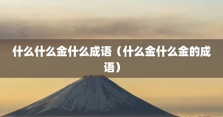什么什么金什么成语（什么金什么金的成语）