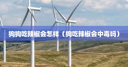 狗狗吃辣椒会怎样（狗吃辣椒会中毒吗）
