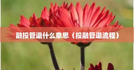 融投管退什么意思（投融管退流程）