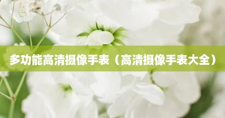 多功能高清摄像手表（高清摄像手表大全）