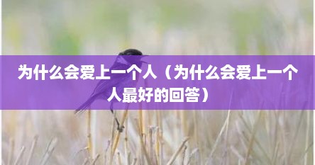 为什么会爱上一个人（为什么会爱上一个人最好的回答）