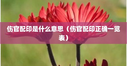 伤官配印是什么意思（伤官配印正确一览表）