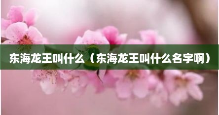 东海龙王叫什么（东海龙王叫什么名字啊）