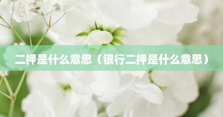 二押是什么意思（银行二押是什么意思）