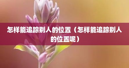 怎样能追踪别人的位置（怎样能追踪别人的位置呢）
