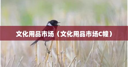 文化用品市场（文化用品市场C幢）