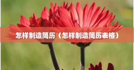 怎样制造简历（怎样制造简历表格）