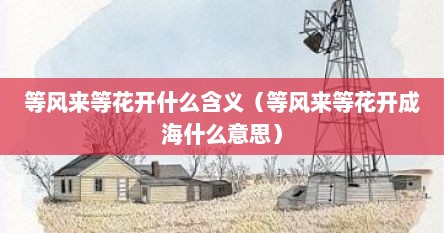等风来等花开什么含义（等风来等花开成海什么意思）