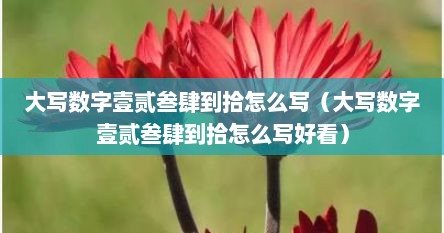 大写数字壹贰叁肆到拾怎么写（大写数字壹贰叁肆到拾怎么写好看）